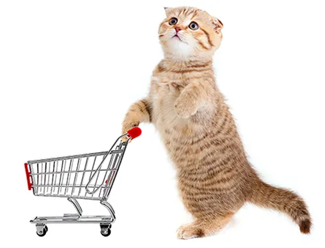 Создан сайт для сети магазинов для животных Petsimple