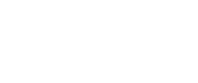 Pioneer Elite International Company Pioneer Elite International Company Разработка сайта ALMA.CMS