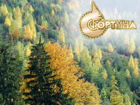 Разработан оригинальный интернет-магазин