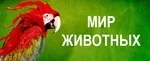 Мир животных