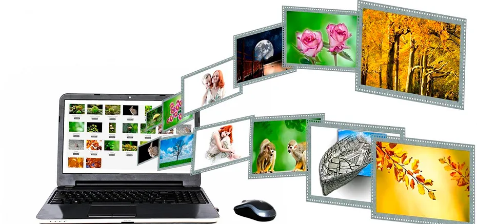 Иллюстрация к статье