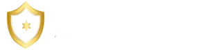 Создание интернет магазина недорого