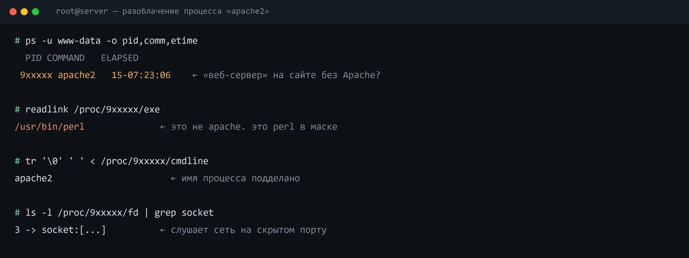 Поиск бэкдора: процесс лишь притворялся веб-сервером — под маской apache2 скрывался интерпретатор Perl. «Скрин» обезличен.